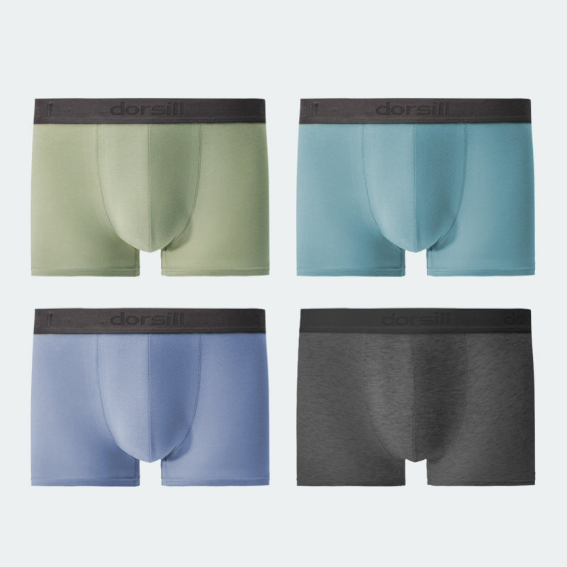 Dorsill Men's Boxer Briefs 4 Packs Cotton Underwear